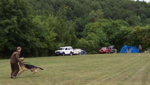 C Dasty Wolfhard lange Flucht.jpg